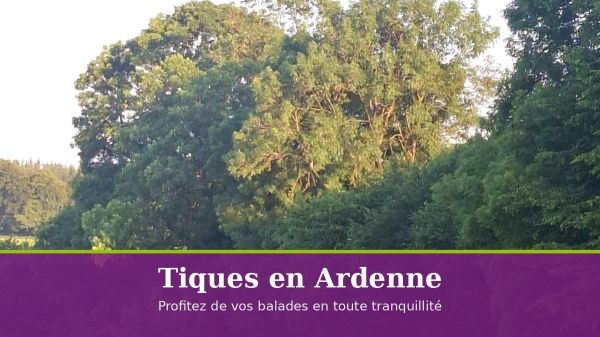 Tiques en Ardennes