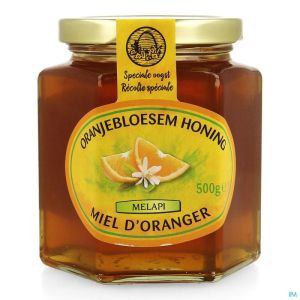 Melapi Miel Fleur Oranger 500g 3049