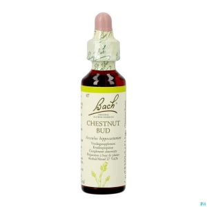 Bach Flower Remedie 07 Chestnut Bud 20ml