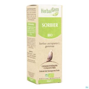 Herbalgem Sorbier Macerat 50ml