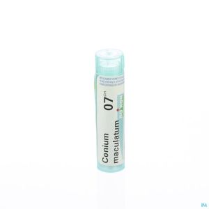 Conium Maculatum 7ch Gr 4g Boiron