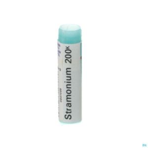 Stramonium 200k Gl Boiron