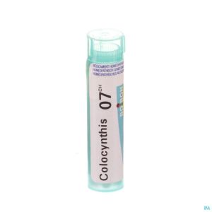 Colocynthis 7ch Gr 4g Boiron