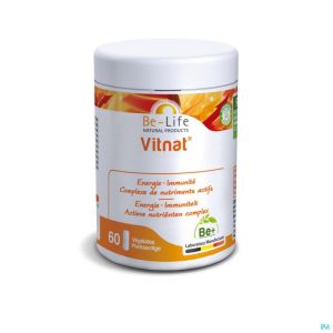 Vitnat 