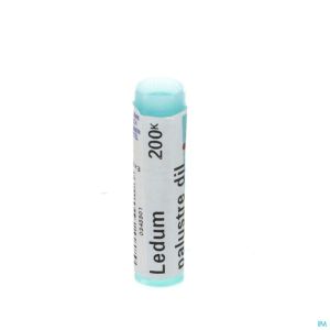 Ledum Palustre 200k Gl Boiron