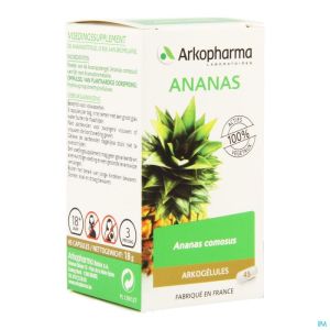 Arkogelules ananas vegetal    45