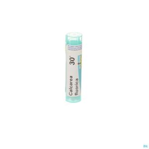 Calcarea Fluorica 30k Gr 4g Boiron