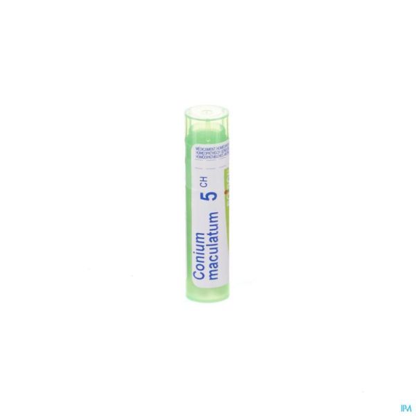 Conium Maculatum 5ch Gr 4g Boiron