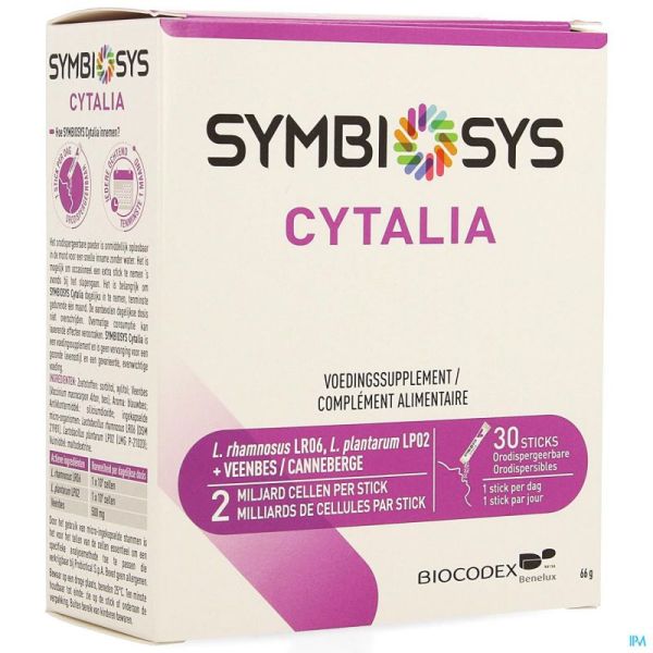Cytalia symbiosys    sticks 30