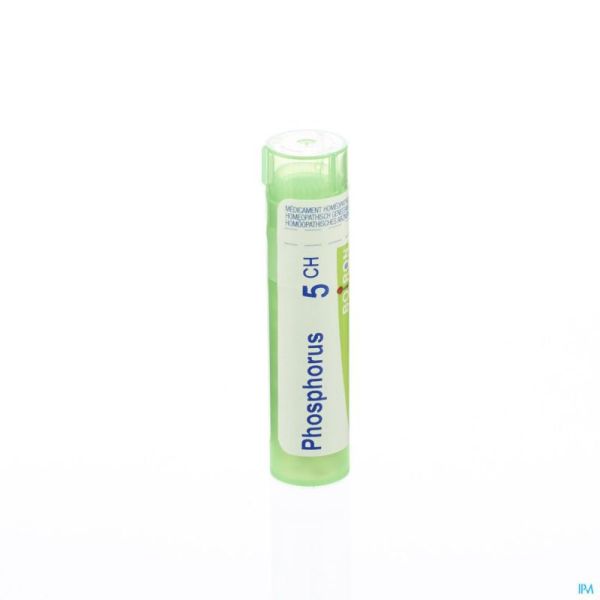 Phosphorus 5ch Gr 4g Boiron