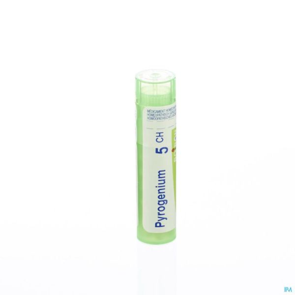 Pyrogenium 5ch Gr 4g Boiron