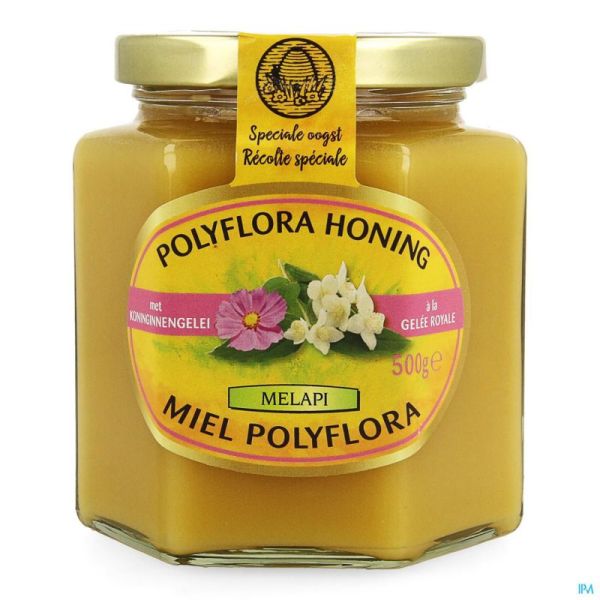 Melapi Polyflora+gelee Royale 500g 5534