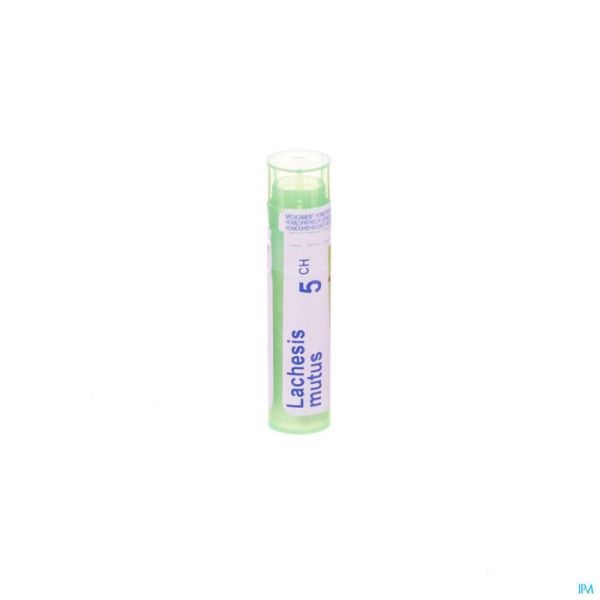 Lachesis Mutus 5ch Gr 4g Boiron