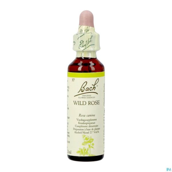 Bach Flower Remedie 37 Wild Rose 20ml