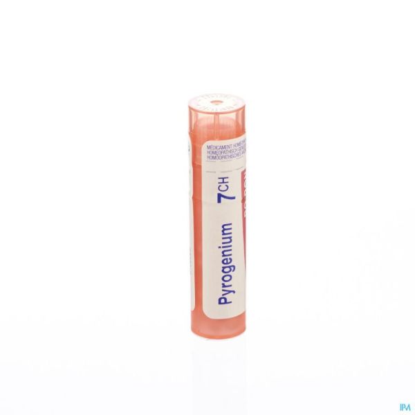 Pyrogenium 7ch Gr 4g Boiron